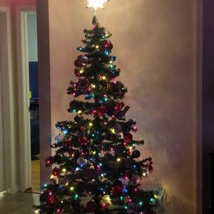 Meet your Posher, Veronica